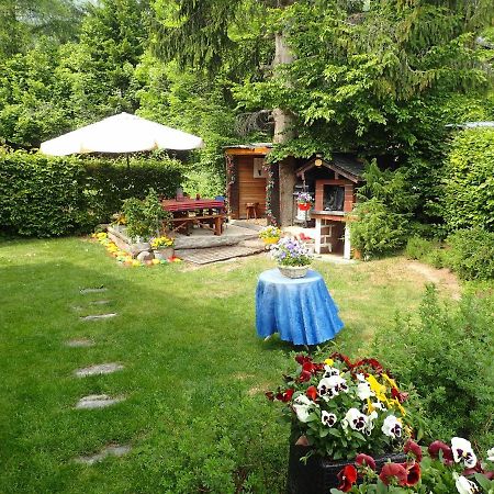 Chalet Le Muguet Βίλα Ovronnaz Εξωτερικό φωτογραφία